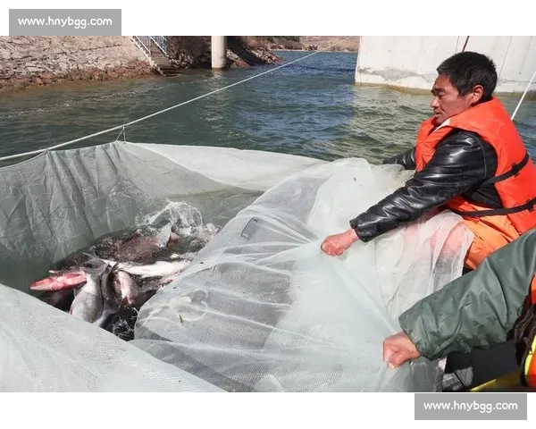 雨后水库捕鱼潮：千人围捕，有人日赚 1500 元